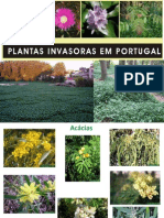 Plantas Invasoras Portugal