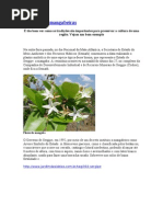 Sergipe e vegetação