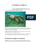 Animales en Peligro de Extincion