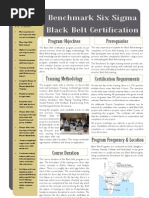 Download Benchmark Six Sigma Black Belt Training Brochure by Benchmark Six Sigma SN15460946 doc pdf