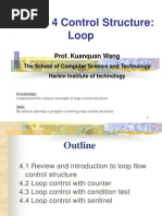 Chapter 4 Control Structure: Loop: Prof. Kuanquan Wang