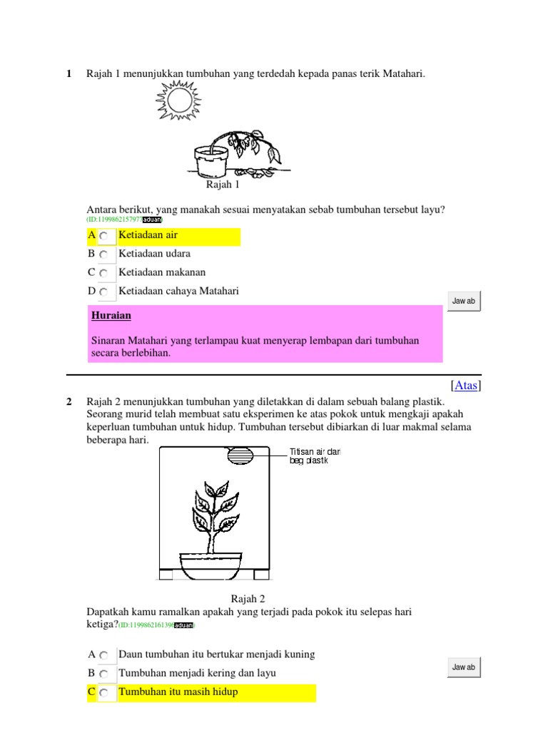 Pkbs 2 Y4 Zoom A Pdf