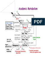 Academic Metabolism: H.S. Graduate B.S