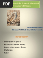 Conservation of the Liben Lark