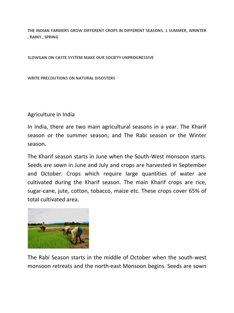 Agricultural Seasons in India PDF Wheat Refrigerator