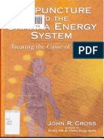 Acupuncture and the Chakra Energy System