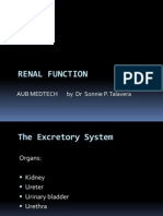 Renal Function AUB