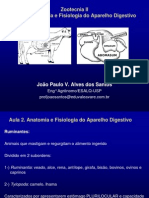 Anatomia e fisiologia do aparelho digestivo de ruminantes