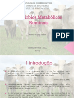 Distúrbios_Metabólicos_Ruminais