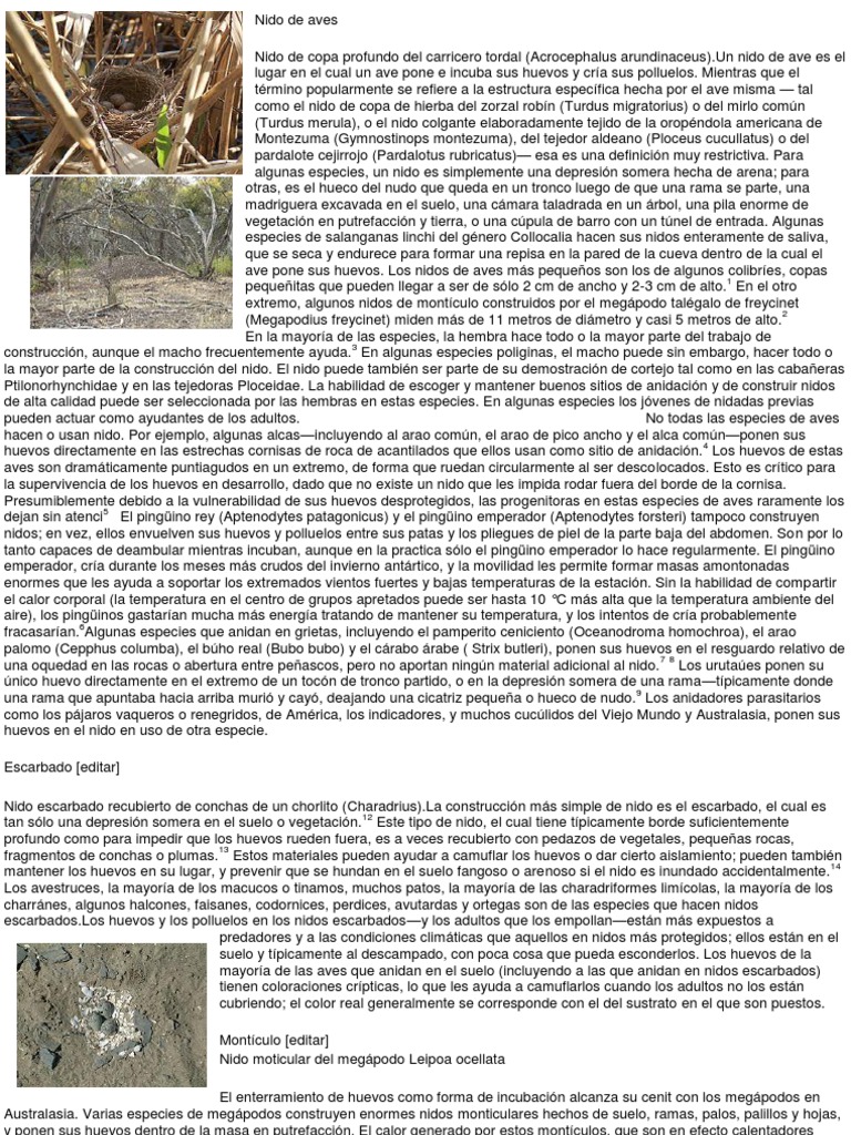 Características Y Tipos De Nidos De Aves Pdf Aves Tetrápodos