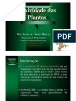 Toxicidade Das Plantas2013