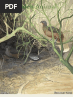 Download Hidden Animals Issue 1 by Hidden Animals SN154750502 doc pdf