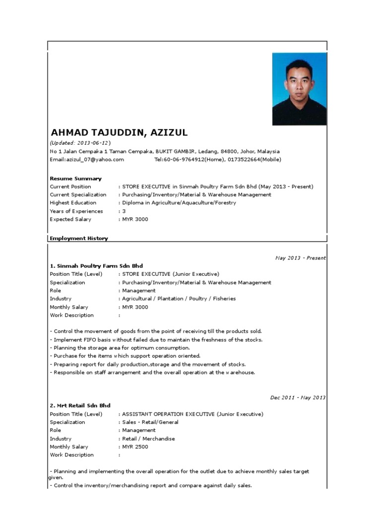 contoh resume terbaik 2015
