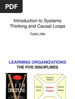 Systems Causal Loops