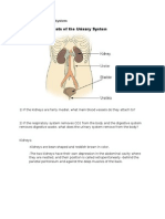 chapter 17 - urinary