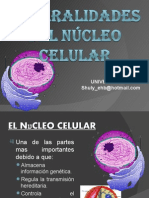 NÚCLEO CELULAR - Generalidades