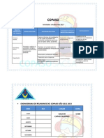 Plan de Rabajo Copaso 2013