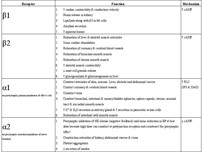 Adrenergic Receptors Chart PDF