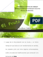 Fruto - Pablo Acosta