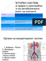 Екскреторен систем