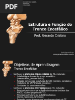 T2_Tronco_Encefalico