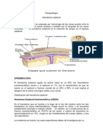 Fisiopatología