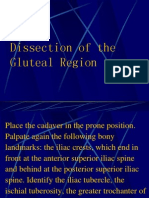 Dissection of The Gluteal Region