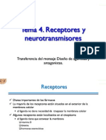 4 Receptores y Neurotransmisores