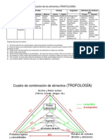 Clasificacion de Los Alimentos