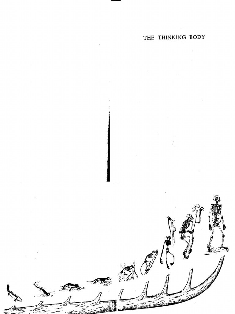 The Thinking Body | PDF
