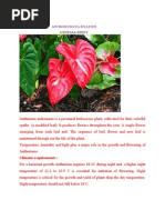Download Anthurium Cultivation by DrEswara Reddy Siddareddy SN154898129 doc pdf