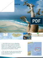 Presentation Island Socotra