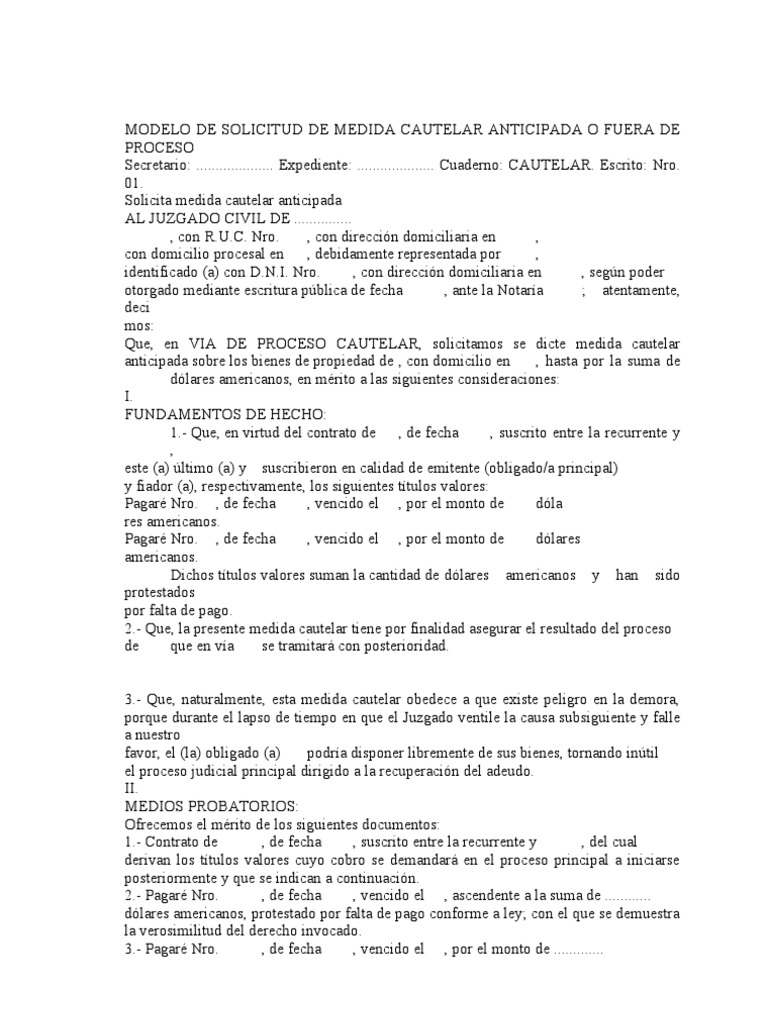 MODELO DE SOLICITUD DE MEDIDA CAUTELAR VARIOS.doc