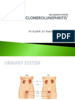 The Urinary System 