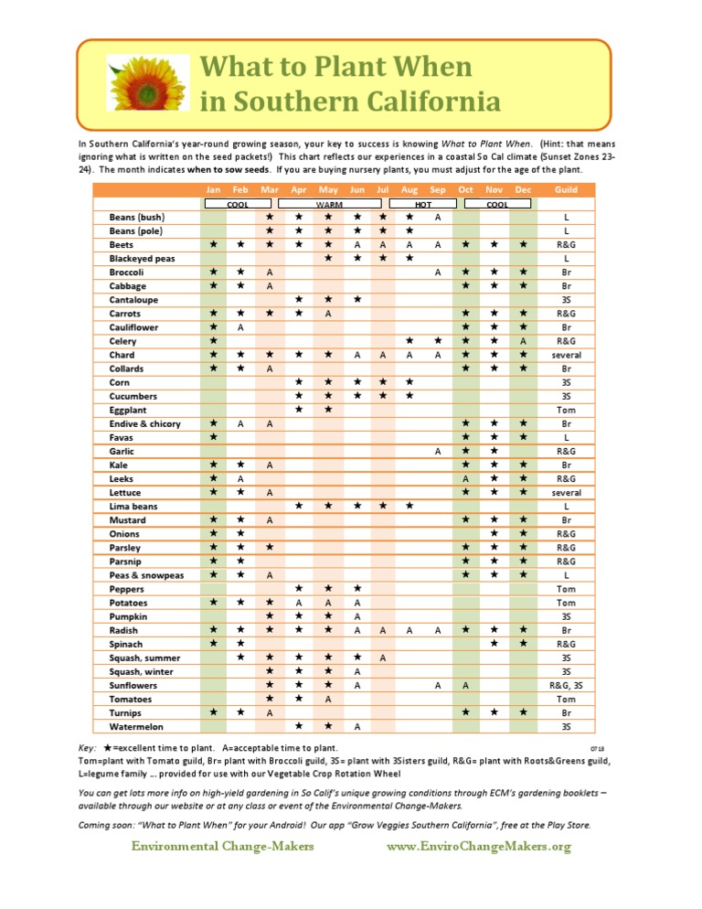 What to Plant When in Southern California