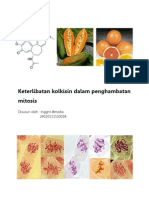 Keterlibatan Kolkisin Dalam Penghambatan Mitosis