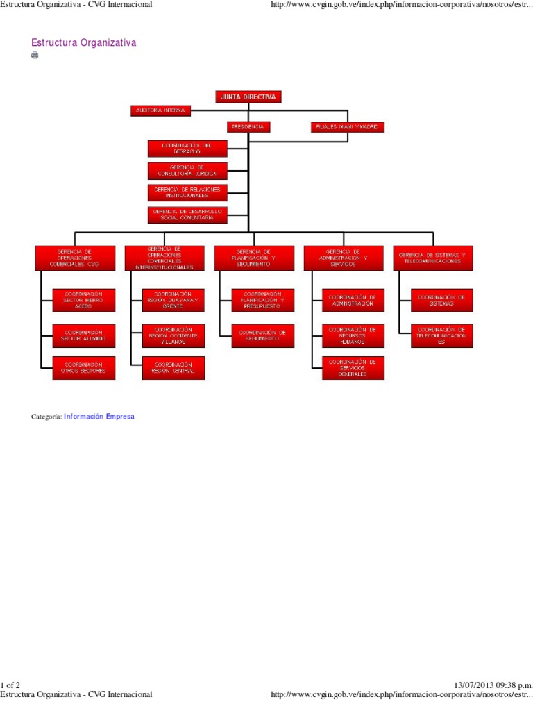 Estructura Organizativa Cvg Internacional