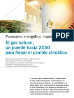 Gas Natural y Cambio Climático