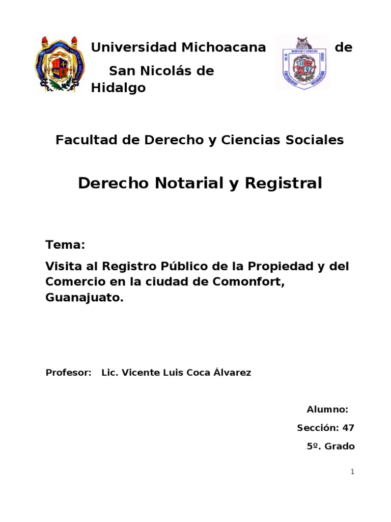 Registro Publico de La Propiedad y Del Comercio