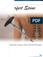 Pedicular Screw and Hook System