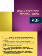 Mediul Forestier Tropical