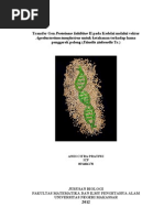 Download Bioteknologi Modern Kedelai Transgenik by Andi Citra Pratiwi SN155128442 doc pdf