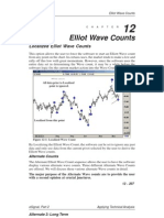Elliot Wave Counts Localized and Alternate Counts