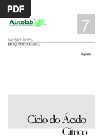 Bioquimica Básica - Motta, 2005 - Ciclo do Ácido Cítrico