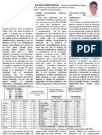 9 y 10 Inversiones Mine Sin Inclusion