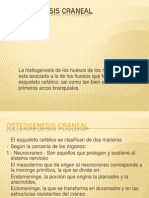 Osteogenesis Craneal