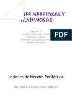 Lesiones Nerviosas y Tendinosas