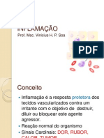 Aula 5 - Inflamação