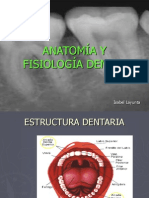 Anatomía y Fisiología Dental