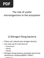 The Role of Useful Microorganisms in The Ecosystem